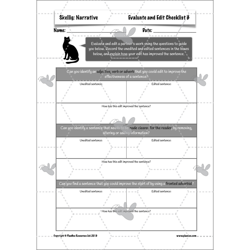 PlanBee Skellig: Narrative
