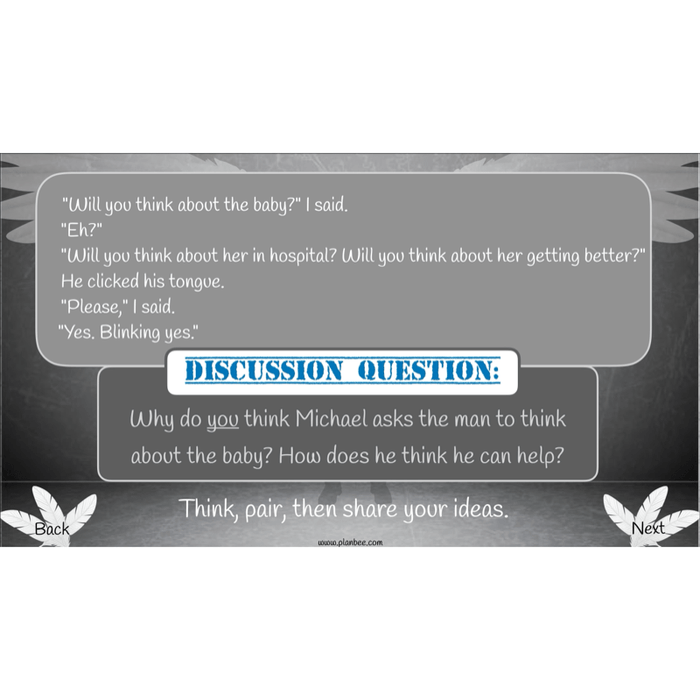 PlanBee Skellig: Reading Comprehension