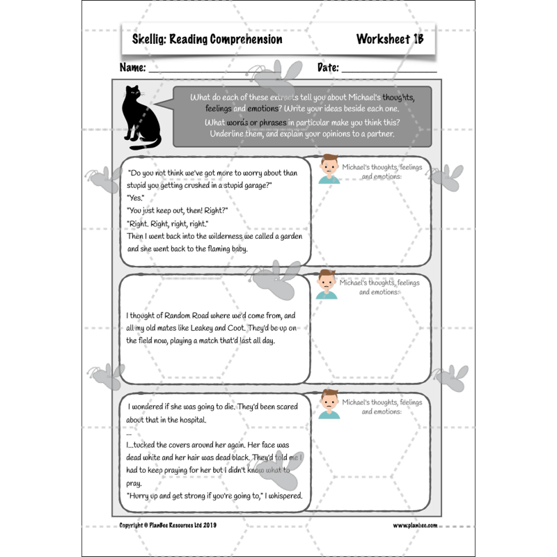 PlanBee Skellig: Reading Comprehension