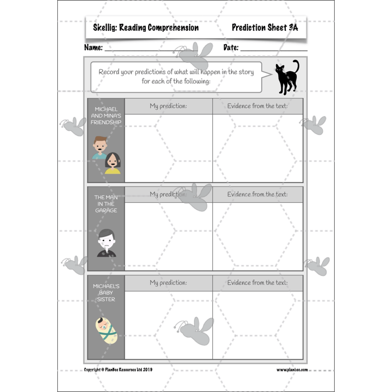 PlanBee Skellig: Reading Comprehension