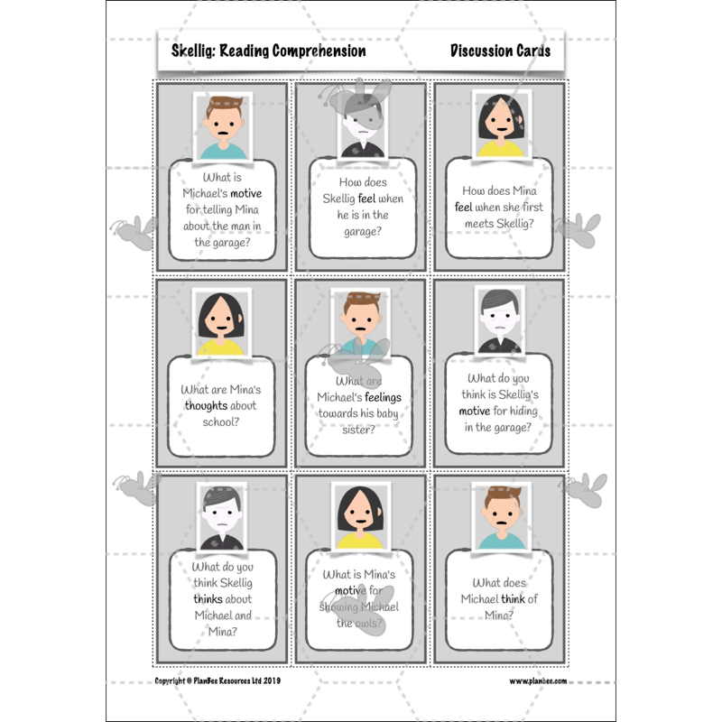 Skellig: Reading Comprehension