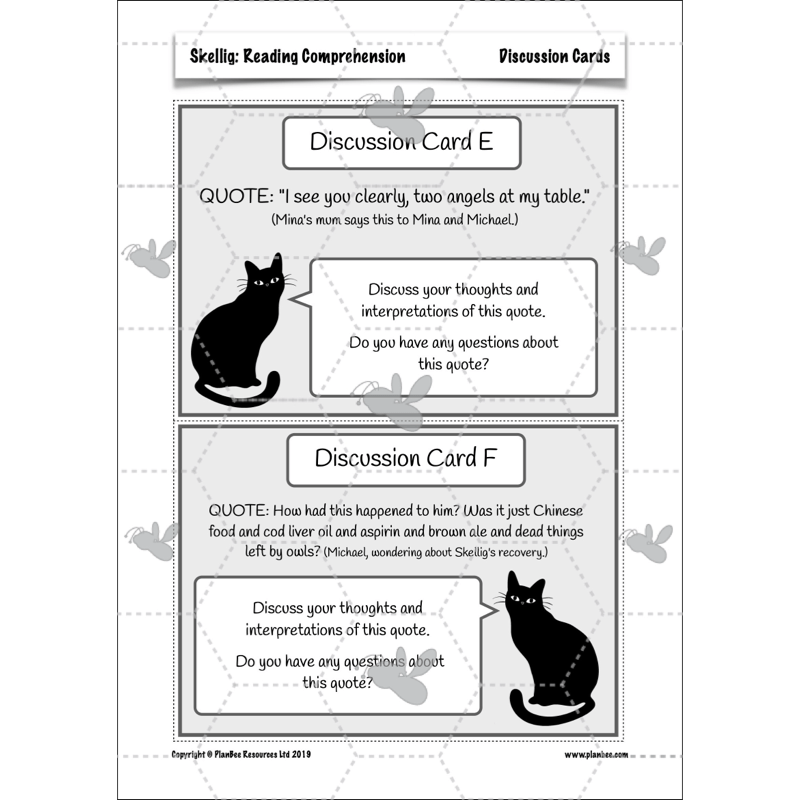 Skellig: Reading Comprehension