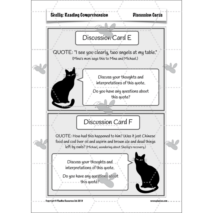 Skellig: Reading Comprehension