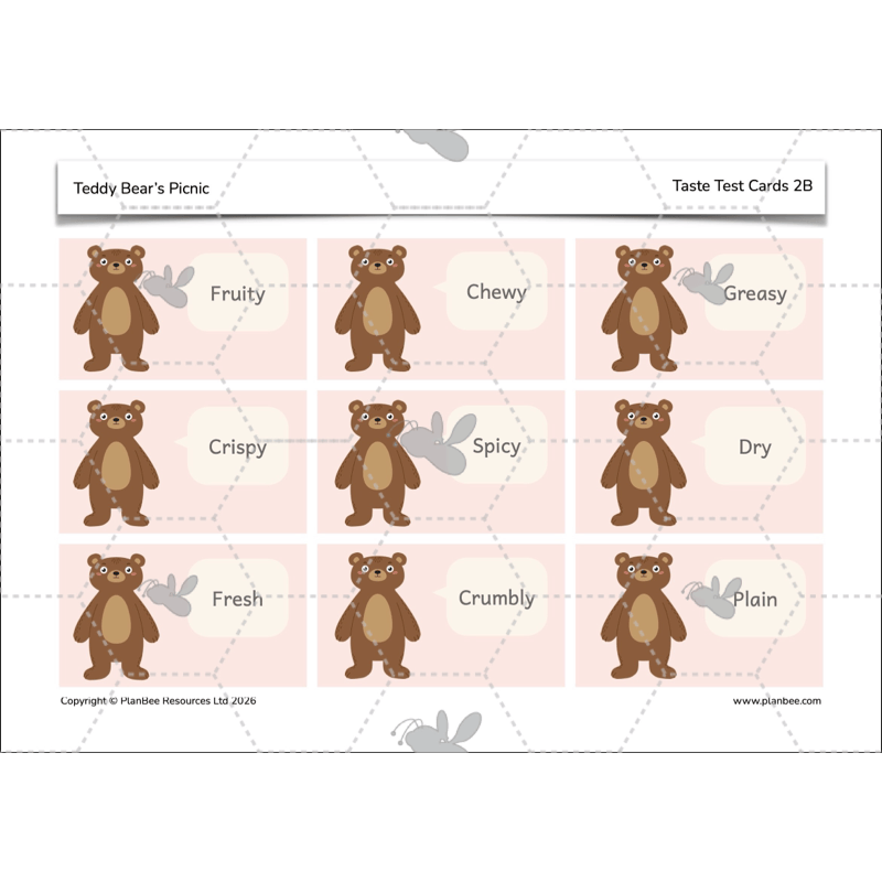 PlanBee Teddy Bears Picnic Ideas and DT Lessons by PlanBee