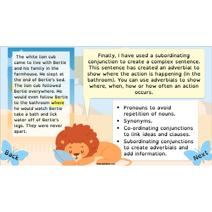 PlanBee The Butterfly Lion: Balanced Arguments KS2 Lesson Pack