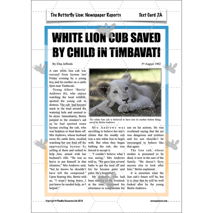PlanBee The Butterfly Lion: Newspaper Reports KS2 English Pack