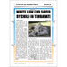 PlanBee The Butterfly Lion: Newspaper Reports KS2 English Pack