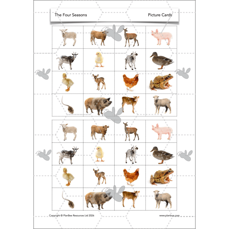 PlanBee The Four Seasons KS1 Geography Lesson Pack