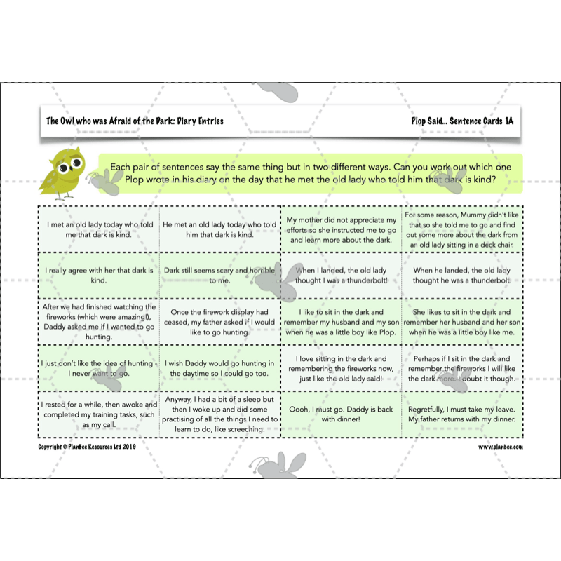PlanBee FREE | The Owl who was Afraid of the Dark | Diaries KS2