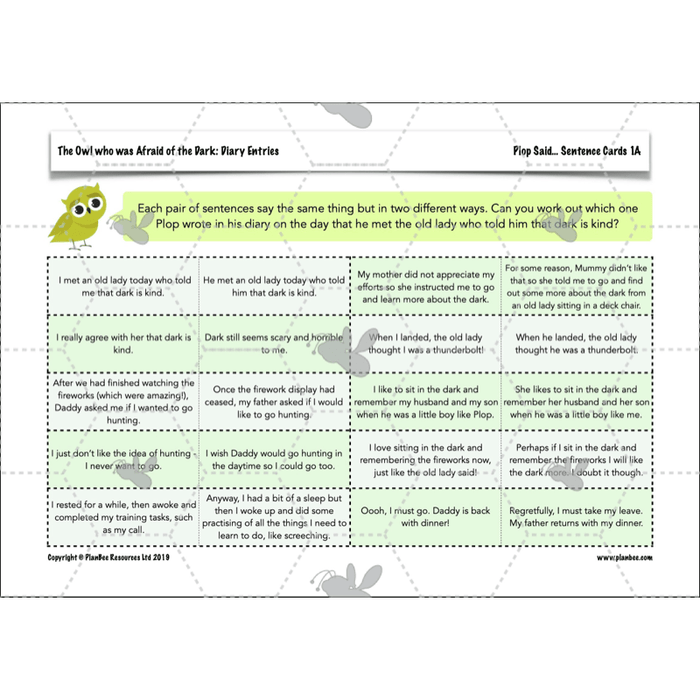 PlanBee FREE | The Owl who was Afraid of the Dark | Diaries KS2
