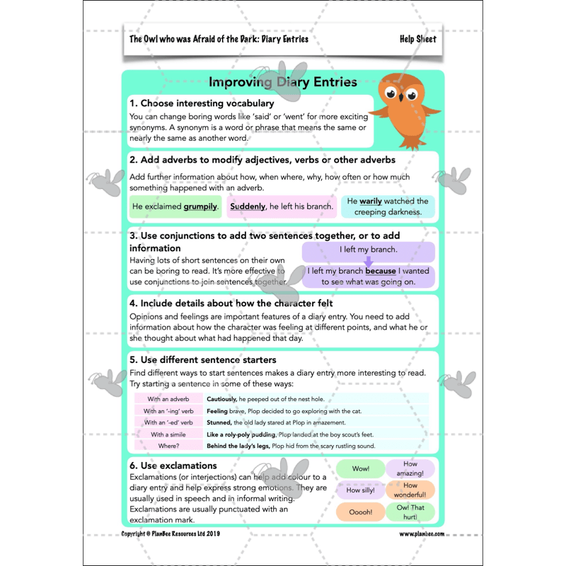 PlanBee FREE | The Owl who was Afraid of the Dark | Diaries KS2