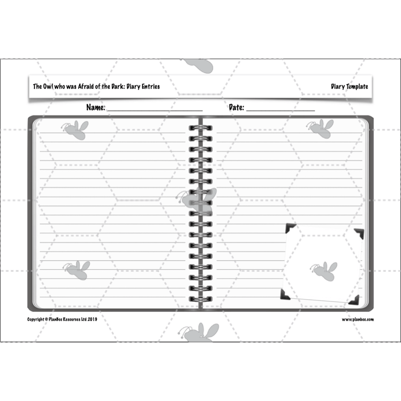 PlanBee FREE | The Owl who was Afraid of the Dark | Diaries KS2