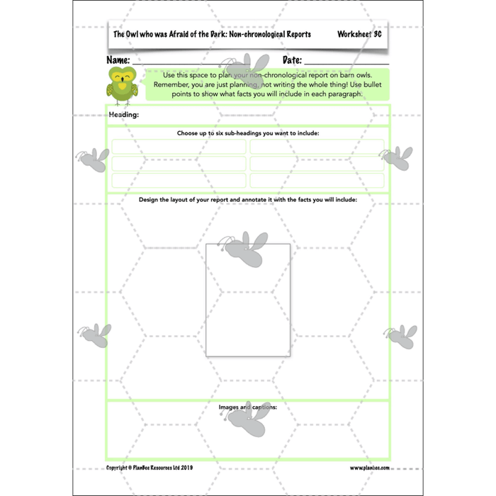 PlanBee The Owl who was Afraid of the Dark | KS2 Non-chronological Reports