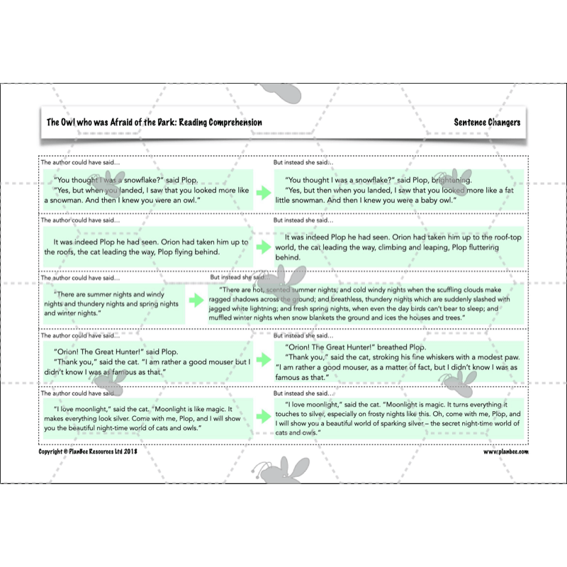 The Owl who was Afraid of the Dark: Reading Comprehension