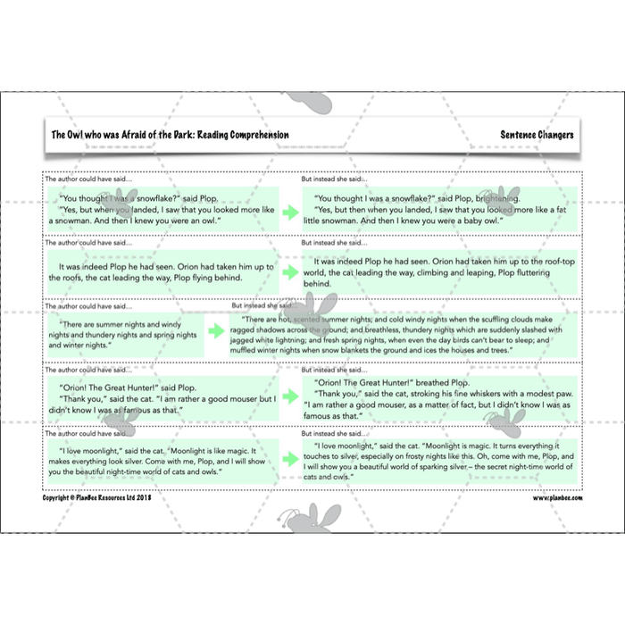 The Owl who was Afraid of the Dark: Reading Comprehension