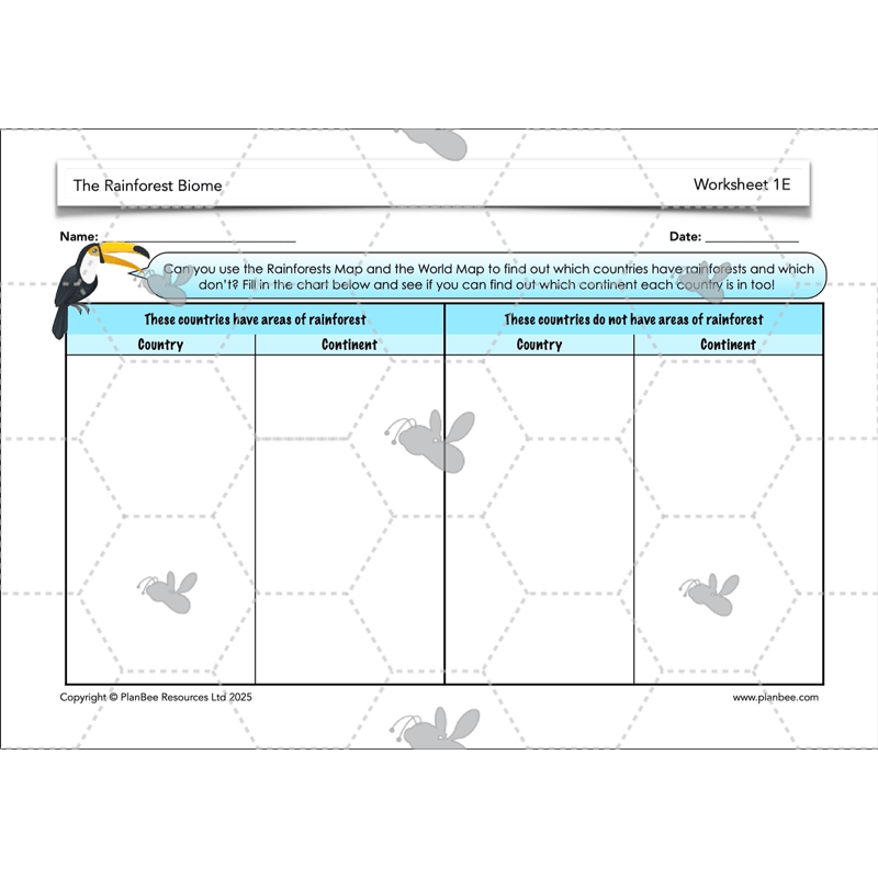 PlanBee The Rainforest Biome KS2 | Geography Lesson Pack