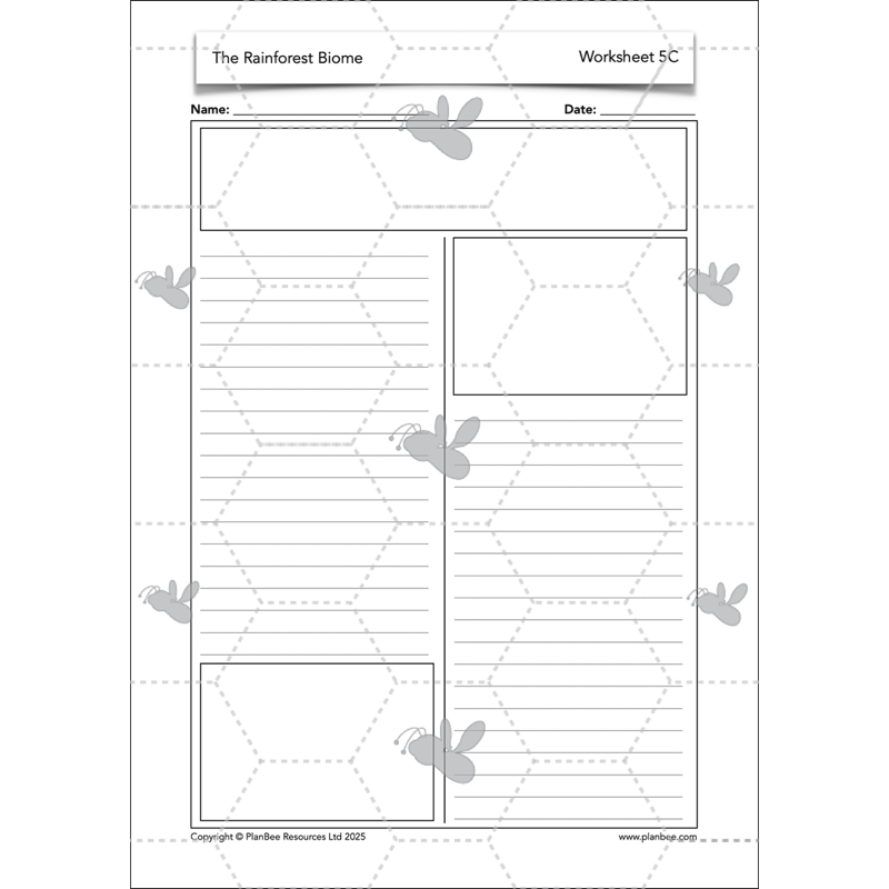 The Rainforest Biome