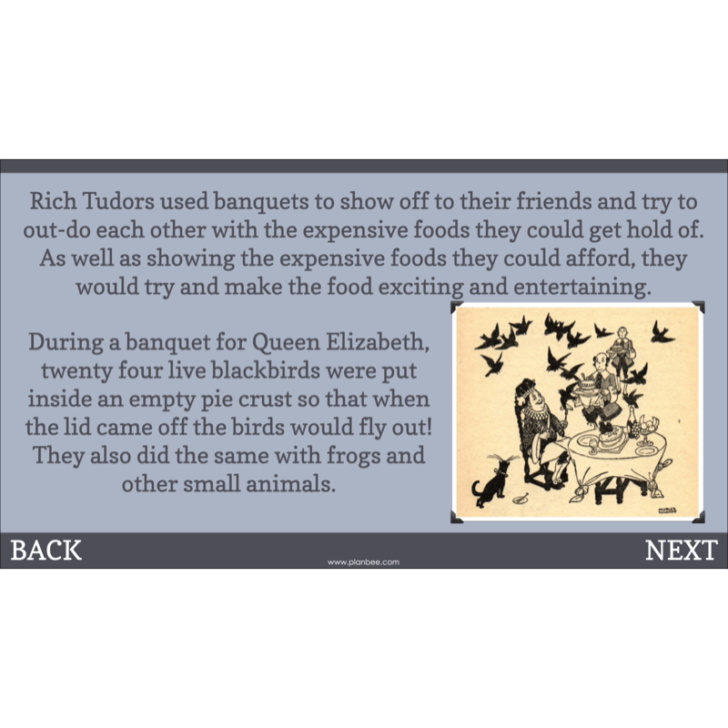 PlanBee The Tudors KS2 History Lessons and Resources