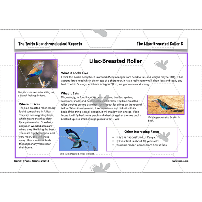 PlanBee The Twits: Non-chronological Reports KS2 | Y4 English Pack