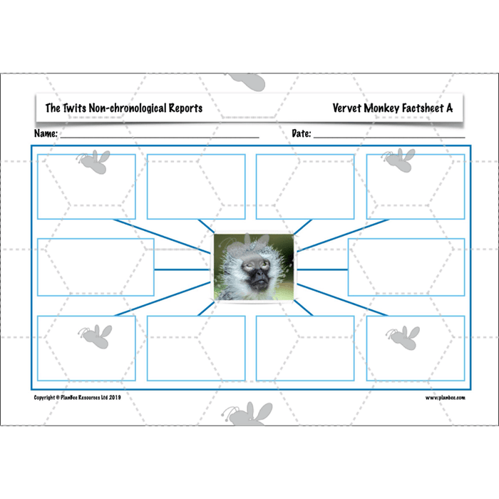 PlanBee The Twits: Non-chronological Reports KS2 | Y4 English Pack