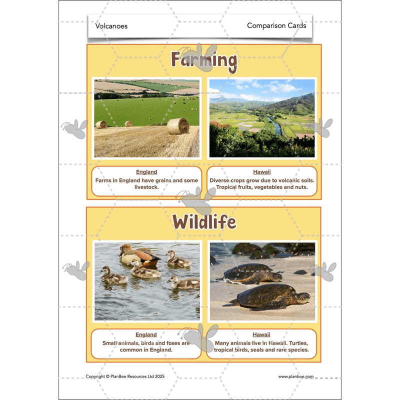 PlanBee Volcanoes KS2 Geography Lesson Planning