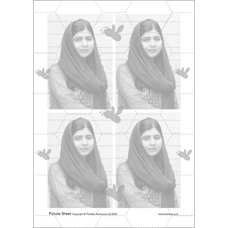 Warhol and the Pop Art Movement