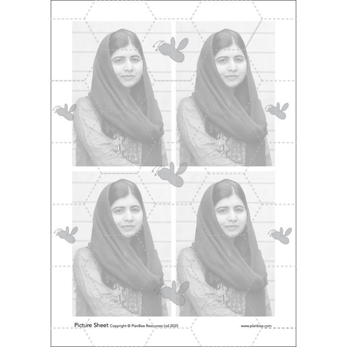 Warhol and the Pop Art Movement