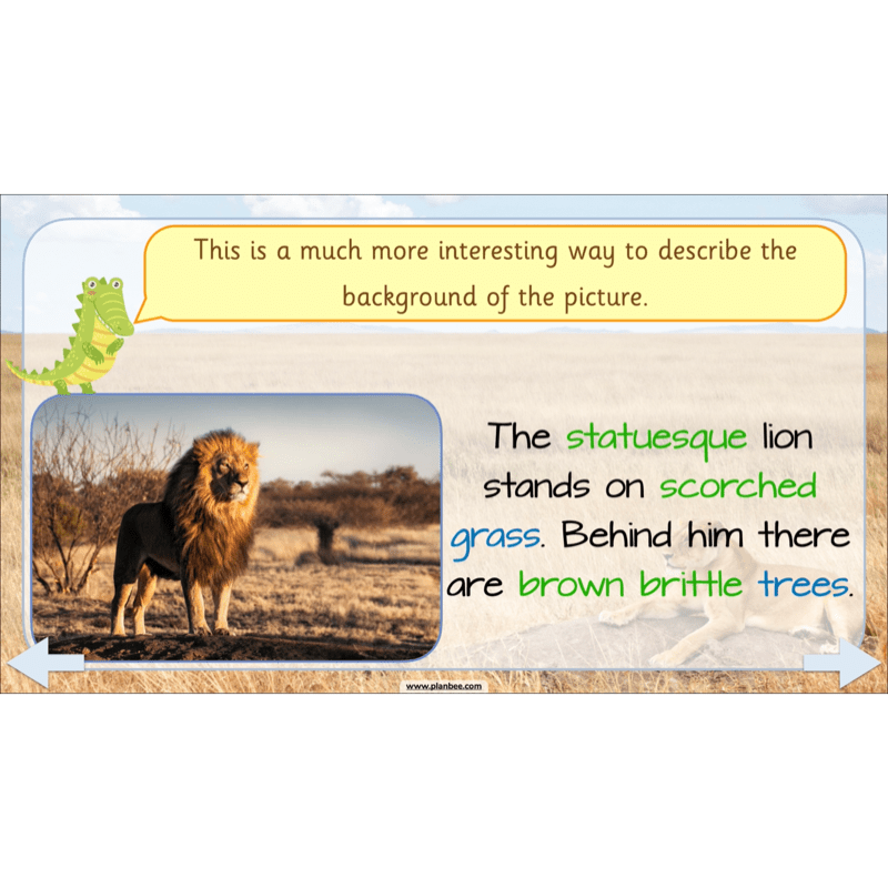 PlanBee We're Going on a Lion Hunt KS1 English Lesson Planning