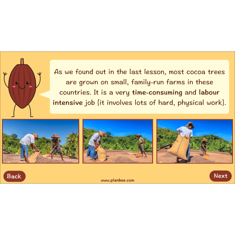 PlanBee Where does Chocolate come from? | KS2 Geography lessons
