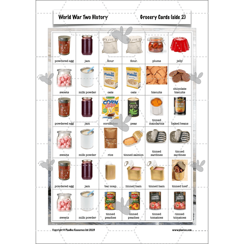 PlanBee Lower KS2 World War 2 History Planning and Resources