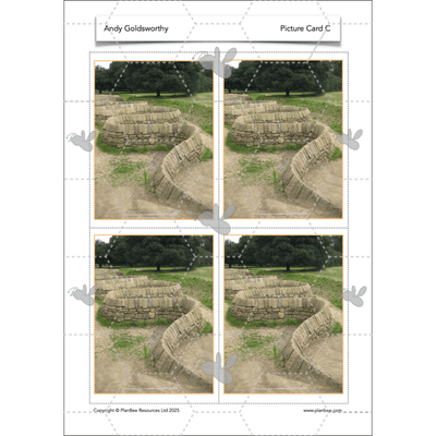 PlanBee Andy Goldsworthy KS1 Art Lesson Plans created by PlanBee