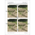 PlanBee Andy Goldsworthy KS1 Art Lesson Plans created by PlanBee