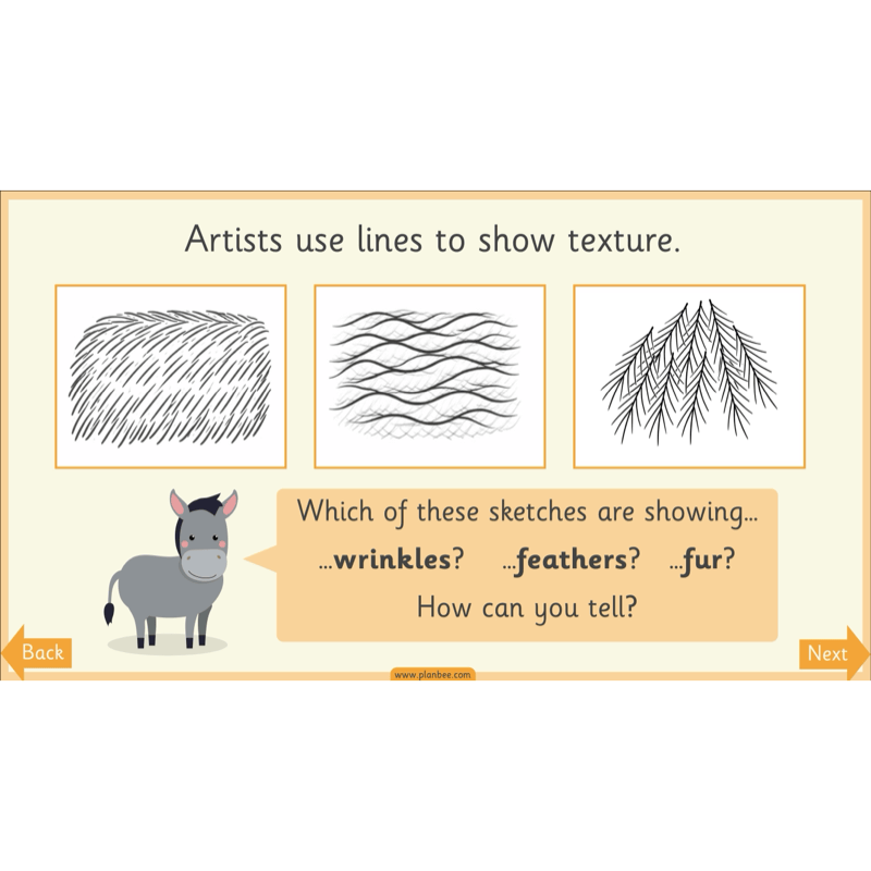PlanBee Animal Art KS1 | Art Lesson Pack