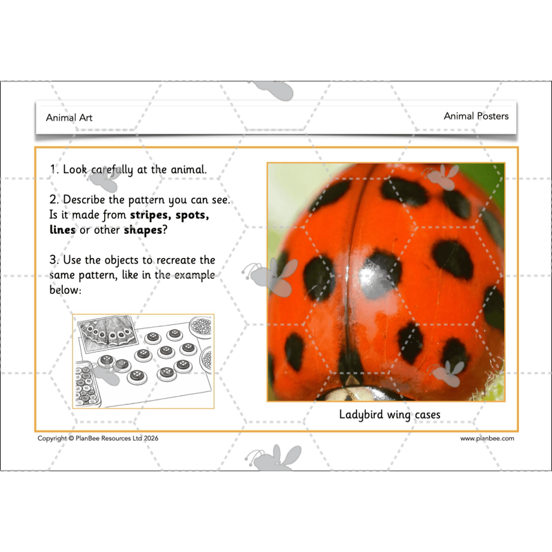 PlanBee Animal Art KS1 | Art Lesson Pack