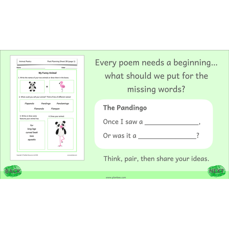 PlanBee Animal Poetry KS1 English Lesson Pack
