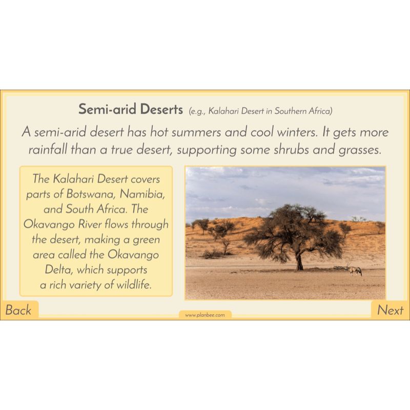 PlanBee Biomes KS2 Geography Lessons