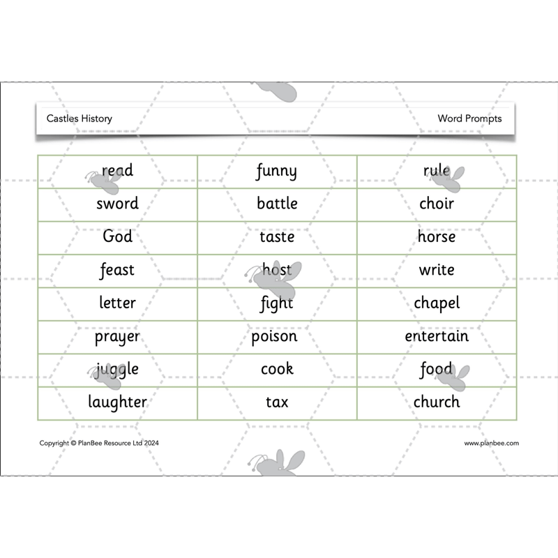 PlanBee Castles Castles KS1 History Lesson Planning and Resources