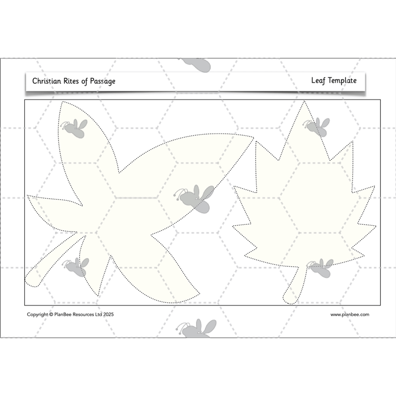 PlanBee Christian Rites of Passage | Year 2 RE lessons