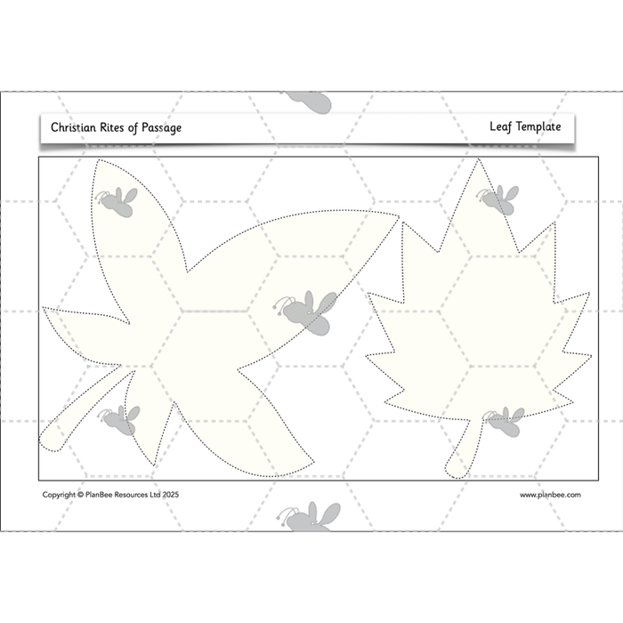 PlanBee Christian Rites of Passage | Year 2 RE lessons