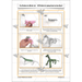 PlanBee Dinosaurs Topic KS2 Enrichment Lesson Pack