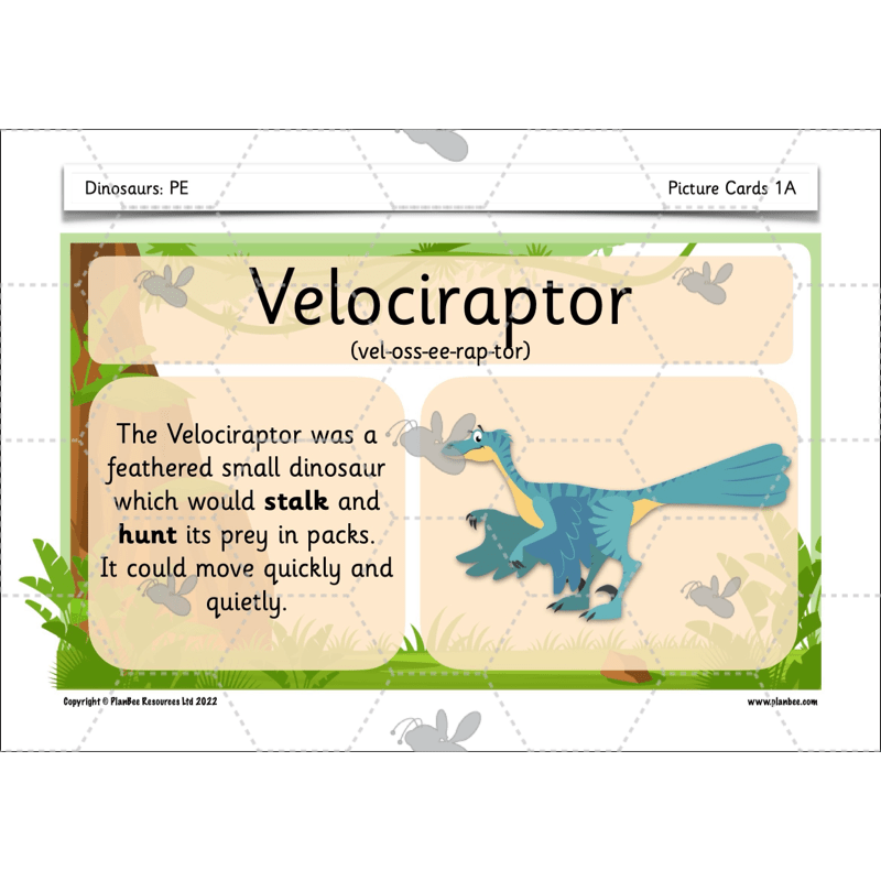 Dinosaurs KS1 Topic Enrichment Pack