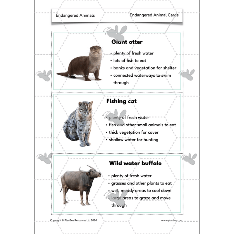 Endangered Animals