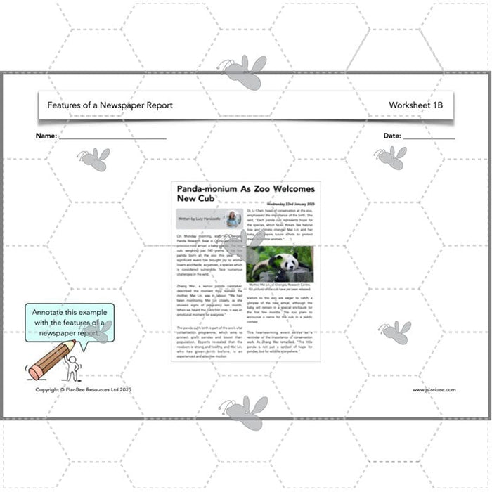 PlanBee Features of a Newspaper Report KS2 Lesson Pack | PlanBee