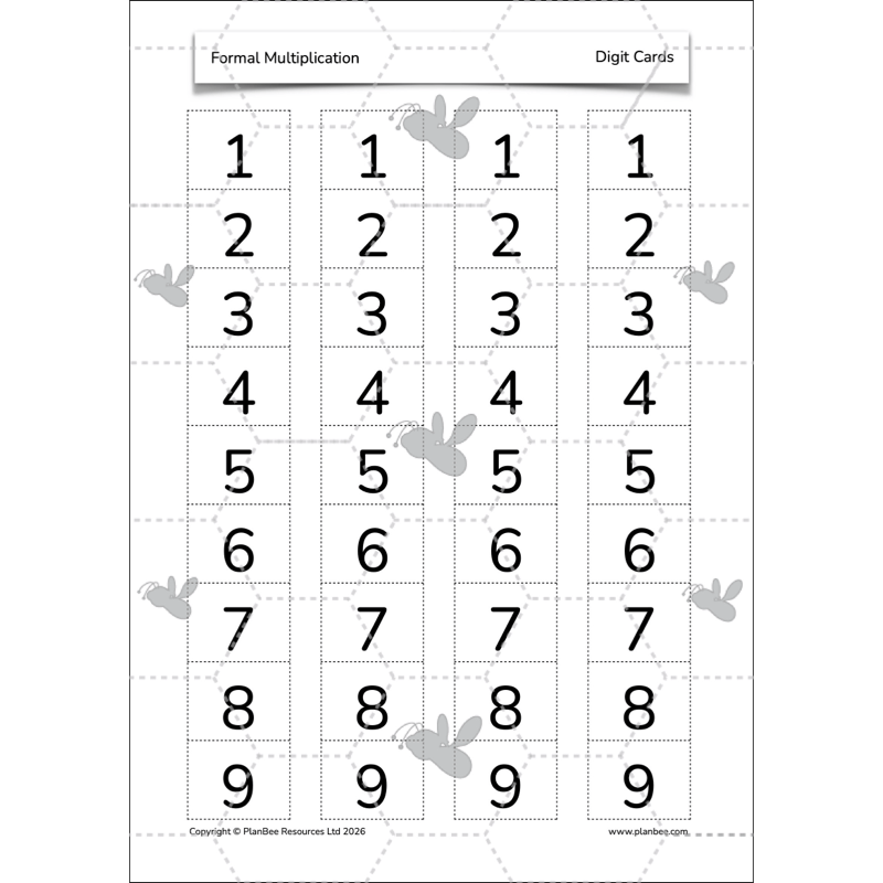 PlanBee Formal Multiplication Year 5 Maths Lessons by PlanBee