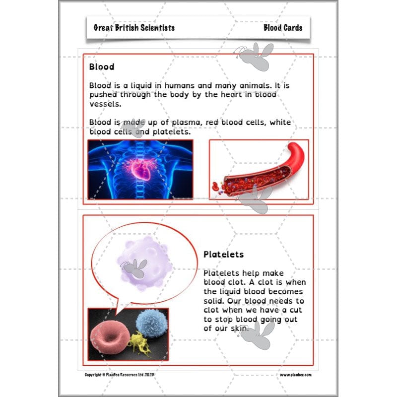 PlanBee Great British Scientists KS2 Science Lessons by PlanBee