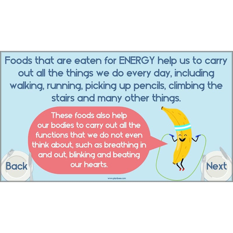 PlanBee Animals Including Humans Year 3 Science Lessons by PlanBee