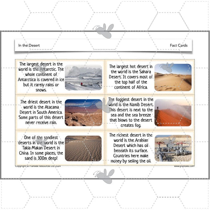 PlanBee In the Desert: Desert Habitat KS2 Geography by PlanBee