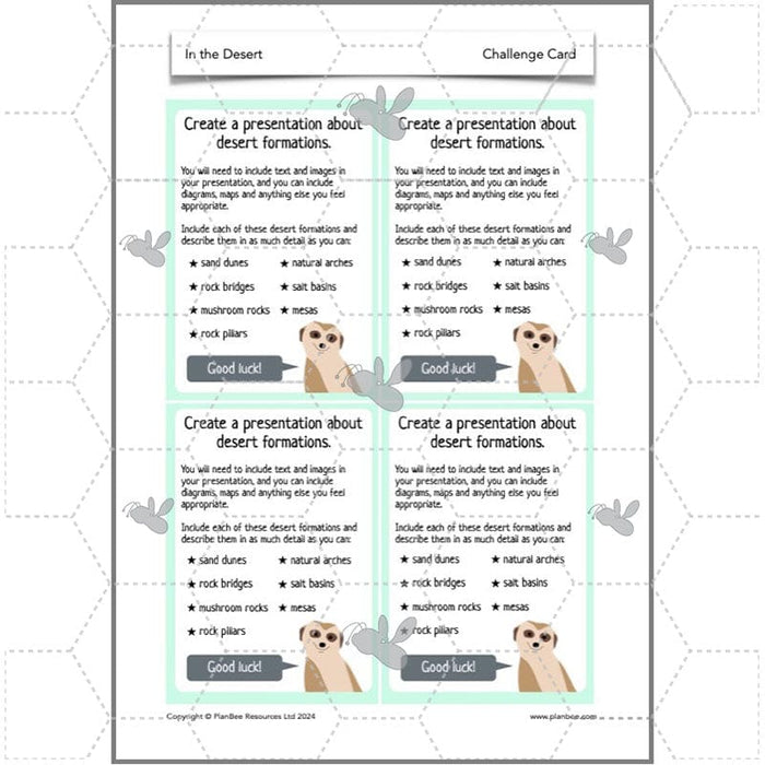 PlanBee In the Desert: Desert Habitat KS2 Geography by PlanBee