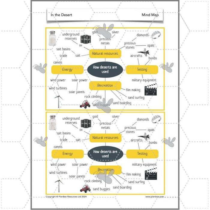 PlanBee In the Desert: Desert Habitat KS2 Geography by PlanBee