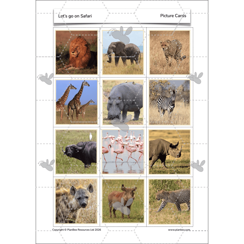 PlanBee Let's go on Safari | Kenya KS1 Geography Lesson Pack